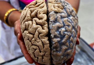 12 interesting human brain facts you must know
